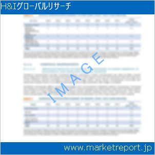 市場と産業調査レポートのイメージ